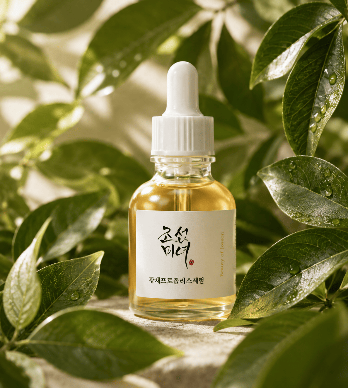 Beauty of Joseon Revive Serum Ginseng + Snail